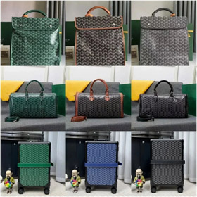 Borsa da viaggio Goyard con maniglia in pelle-4646  