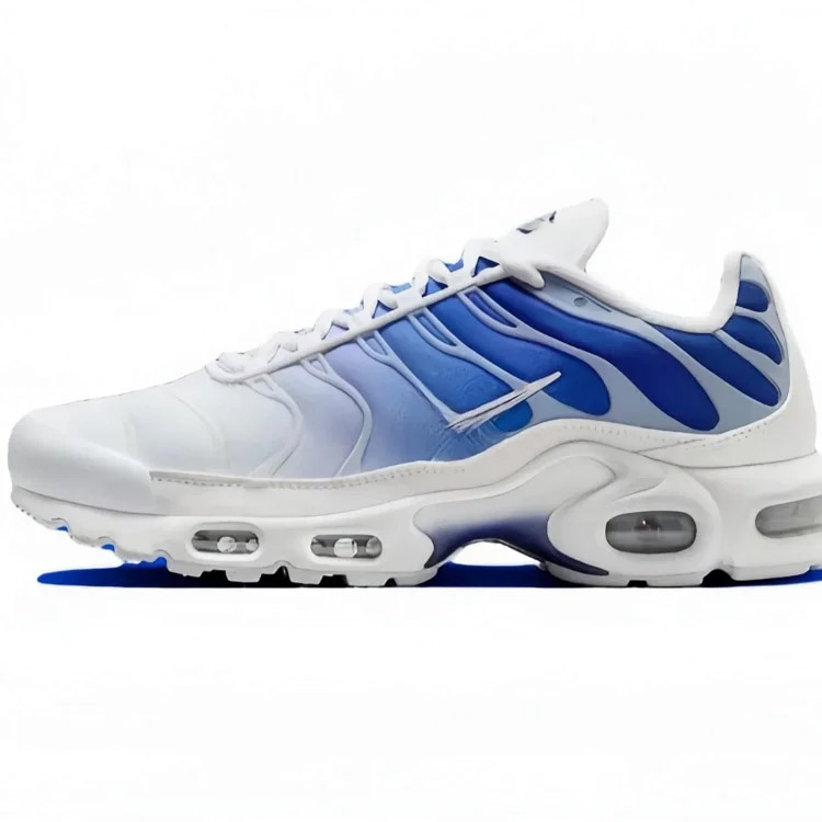 Nike Air Max Plus Classic Comfort Low-Top Scarpe con cuscino aria-2869